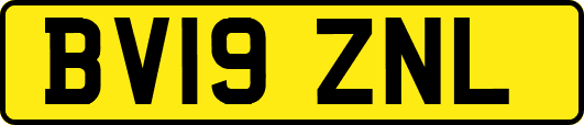 BV19ZNL