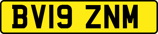 BV19ZNM