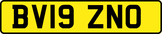 BV19ZNO