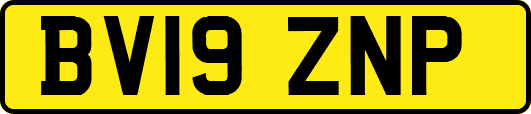 BV19ZNP