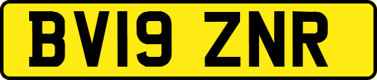 BV19ZNR
