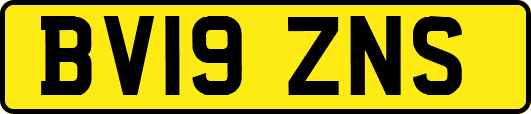 BV19ZNS