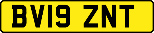 BV19ZNT