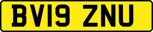 BV19ZNU