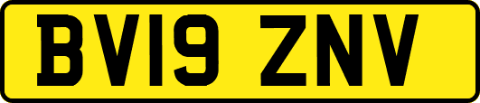BV19ZNV