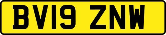 BV19ZNW