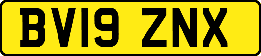 BV19ZNX
