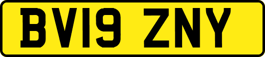 BV19ZNY