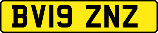 BV19ZNZ