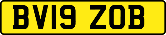 BV19ZOB