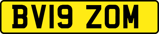 BV19ZOM