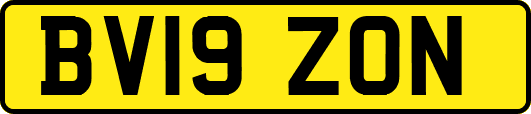 BV19ZON