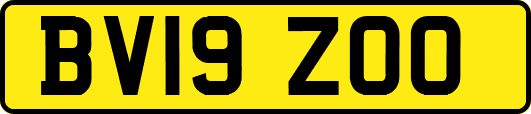 BV19ZOO