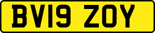 BV19ZOY