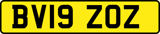 BV19ZOZ