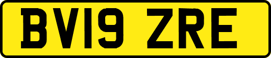 BV19ZRE