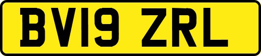 BV19ZRL