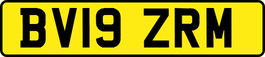 BV19ZRM