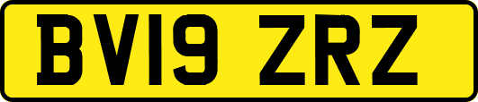 BV19ZRZ
