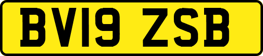 BV19ZSB