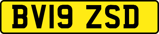 BV19ZSD