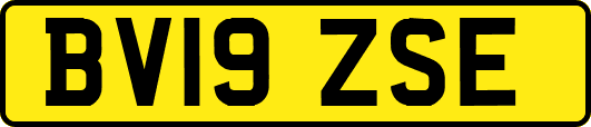 BV19ZSE