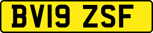BV19ZSF