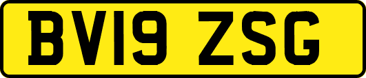 BV19ZSG