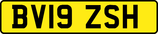 BV19ZSH
