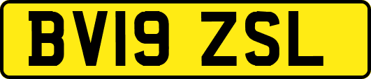 BV19ZSL