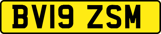 BV19ZSM