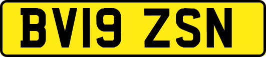 BV19ZSN