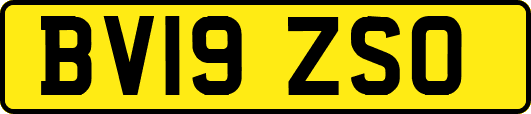 BV19ZSO