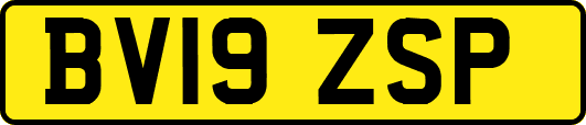 BV19ZSP
