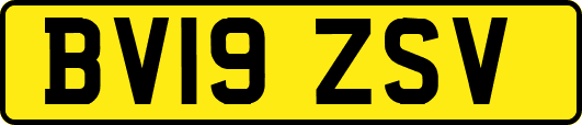BV19ZSV
