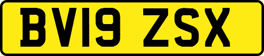 BV19ZSX