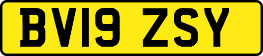 BV19ZSY