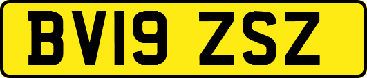 BV19ZSZ