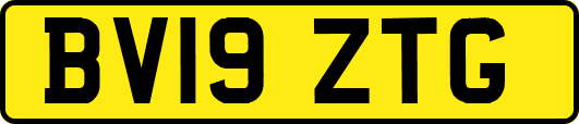 BV19ZTG