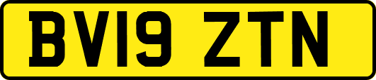 BV19ZTN