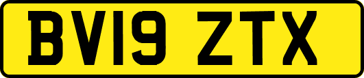 BV19ZTX