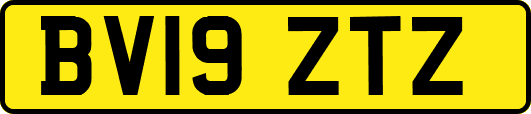 BV19ZTZ