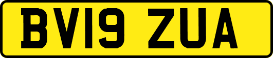 BV19ZUA