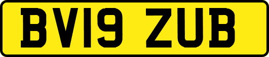 BV19ZUB