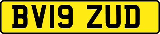 BV19ZUD
