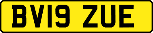 BV19ZUE