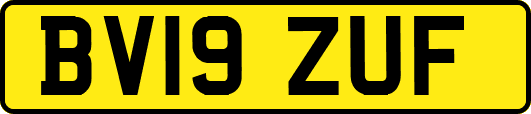 BV19ZUF