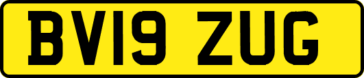 BV19ZUG
