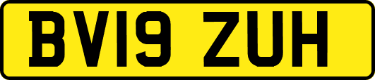 BV19ZUH