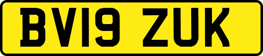 BV19ZUK